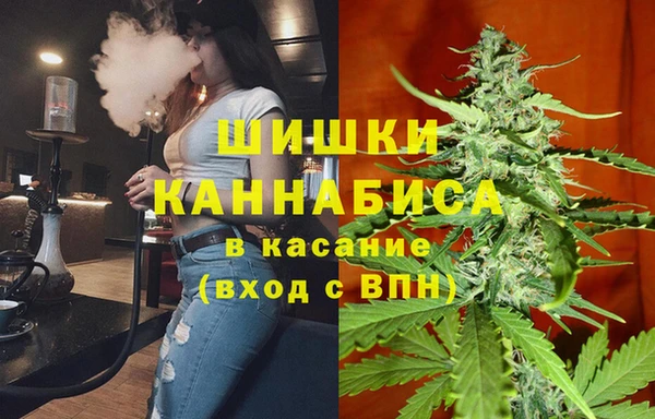 гашик Вязьма