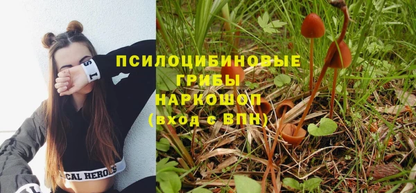 дживик Горнозаводск