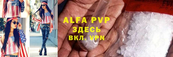 гашик Вязьма
